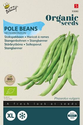 Organic Pole Beans Neckarkönigin
