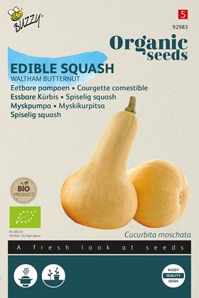 Organic Edible Squash Waltham Butternut