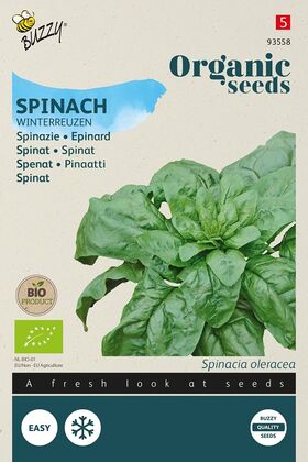 Organic spinach Wintergiant