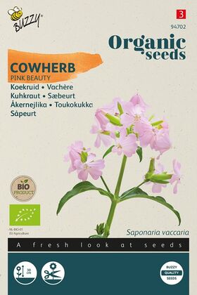 Organic Cowherb Seeds 'Pink Beauty'