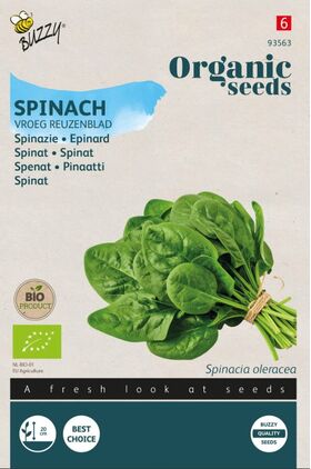 Organic Spinach Seeds 'Early Giant Leaf'