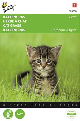 Cat Grass