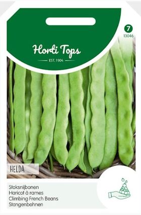 Climbing French Beans Helda