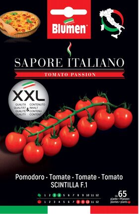 Pomodori Tomaten Scintilla F1
