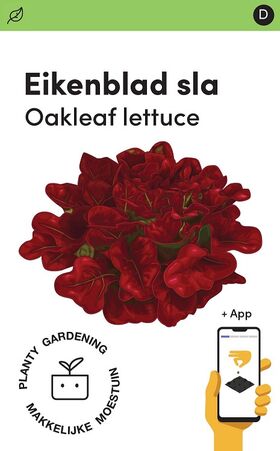Square Foot Garden Seeds Oakleaf Lettuce PRO 'Xandra'