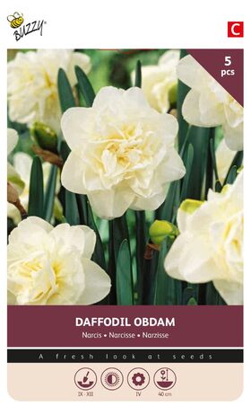 Narcissen Bollen Obdam 5 st.