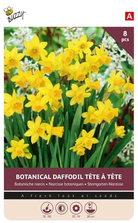 Daffodil Bulbs Yellow Tete a Tete 8st.