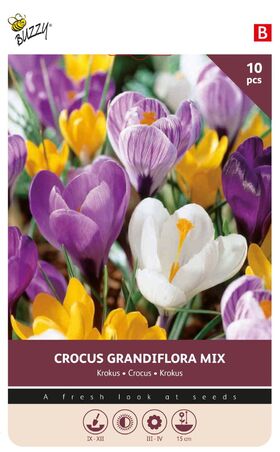 Crocus Bulbs Grandiflora Mix