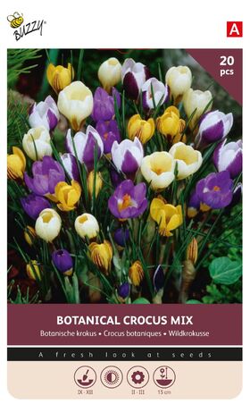 Crocus Bulbs Botanical Mix