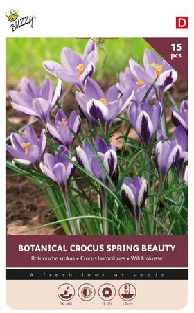 Crocus Bulbs Botanical 'Spring Beauty'