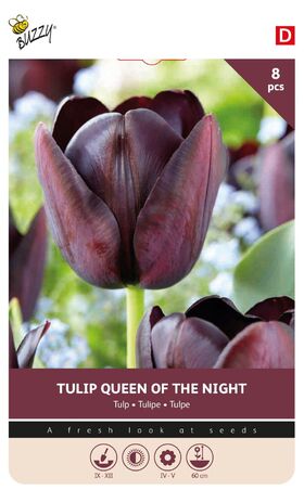 Tulip Cottage Queen Of Night