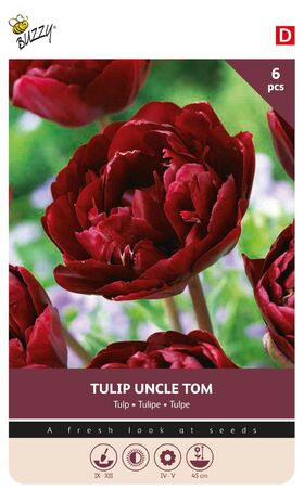 Tulip Bulbs 'Uncle Tom'